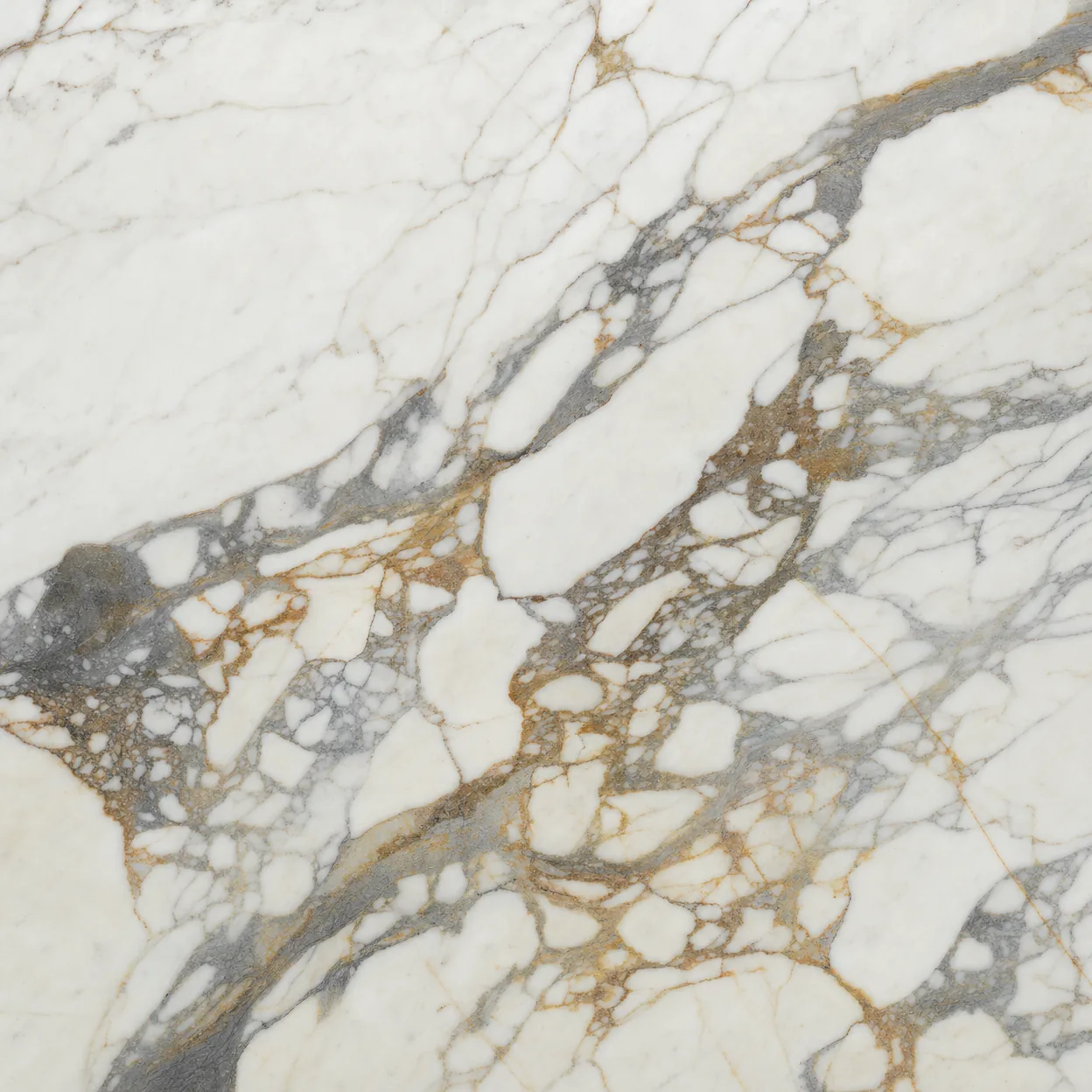 Calacatta Macchia Vecchia Marble